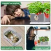 6-Pod Smart Hydroponic Herb Garden with Mini Aquarium Base