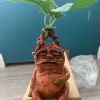 Magical Mandrake Garden Statue – Outdoor Fantasy Decoration