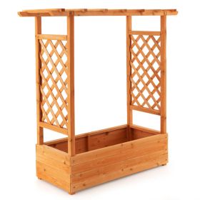 Raised Garden Bed with Trellis and Hanging Pot Options