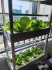 3-Layer 42-Hole Vertical Hydroponic System with LED Light