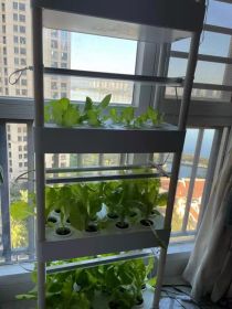 3-Layer 42-Hole Vertical Hydroponic System with LED Light