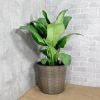 10.2" Self‑Watering Wicker Planter – Round Grey Indoor/Outdoor Pot
