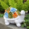 Solar LED Turtle Statue with Succulent Planter Stand – Garden Gnome Accent