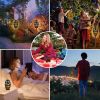 Tiki Torch-Style Outdoor LED Light with Bluetooth Speaker