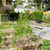 Foldable A-Frame Trellis Plant Supports – 2 Pieces with Twist Ties
