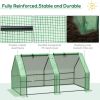Portable Tunnel Greenhouse with Large Zipper Doors & Water/UV PE Cover – 6 x 3 x 3 ft