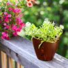 2‑Pack Dark Wood‑Look Self‑Watering Planter Pots – 10" Square Plastic