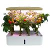 Intelligent Mini Hydroponic Grow Box with Full-Spectrum Light