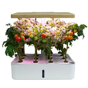 Intelligent Mini Hydroponic Grow Box with Full-Spectrum Light