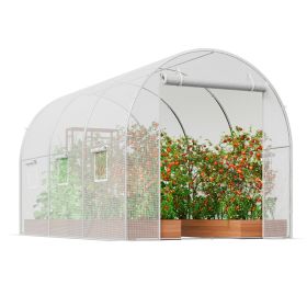 Walk‑In Tunnel Greenhouse Hot House with Galvanized Steel Frame & PE Cover – 9.6 x 6.4 x 6.2 ft