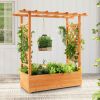 Raised Garden Bed with Trellis and Hanging Pot Options