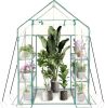 Walk‑In Greenhouse with 3‑Tier 6 Shelves & 2 Bottom Shelves – Reinforced Steel Frame