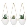 Self-Watering Indoor Ceramic Bonsai Planter