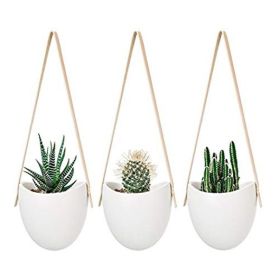 Self-Watering Indoor Ceramic Bonsai Planter