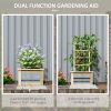 Compact Raised Garden Bed with Trellis – Fir Wood and Galvanized Steel