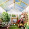 Wooden Walk‑In Greenhouse Kit – Polyethylene‑Covered Garden Hot House