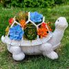 Solar LED Turtle Statue with Succulent Planter Stand – Garden Gnome Accent