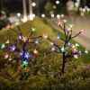 Color-Changing Solar Flower Garden Stake Light