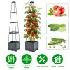 2-Pack Raised Garden Bed Boxes with Adjustable Trellis – Self-Watering Tomato Planters, 56 in, Grey