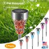 6-Pack Solar Garden Pathway Lights – IP44 Water-Resistant Landscape Lights for Yard, Driveway, and Walkway