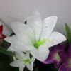 Color-Changing Solar Lily Flower Garden Lights