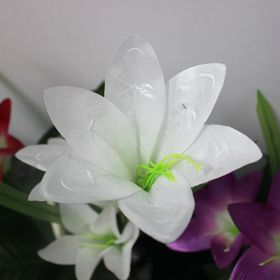 Color-Changing Solar Lily Flower Garden Lights (Color: White)