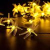Solar Dragonfly LED String Lights
