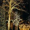 Firefly Solar Mini LED String Lights