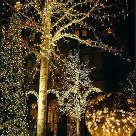 Firefly Solar Mini LED String Lights (Title: 200 LED Lights  66 Ft.)