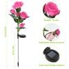 2-Pack Solar Rose Flower Pathway Lights