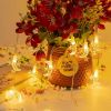 Moon and Mini Star Fairy String Lights – 1 Roll