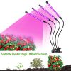 iMounTEK 80W LED Grow Light with 4 Goosenecks – 10 Dimmable Levels