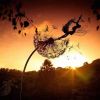 Dandelion Fairy Garden Figurine – Pixies Dancing Steel Wire Yard Decor
