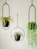 Modern Metal Hanging Planter and Flower Pot Holder
