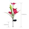 Color-Changing Solar Lily Flower Garden Lights