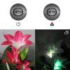 Color-Changing Solar Lily Flower Garden Lights