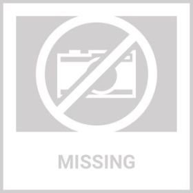 Charming Glow: 12-Inch Satin Lanterns for Delightful Outdoor Decor (Option: Grey Butterfly)